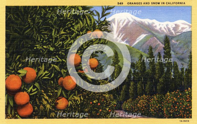 'Oranges and Snow in California', postcard, 1931. Artist: Unknown