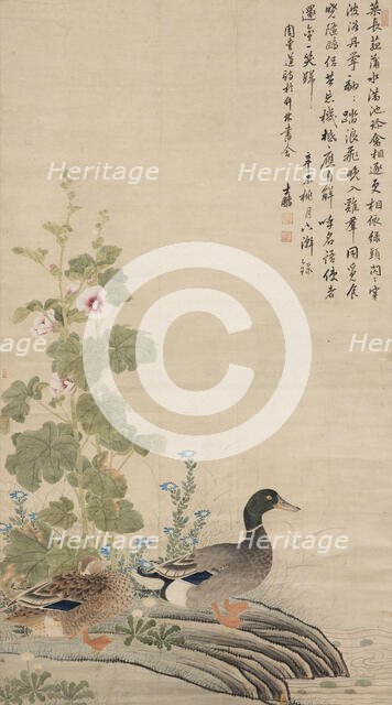 Ducks and hollyhocks, between 1912 and 1949. Creator: Unknown.