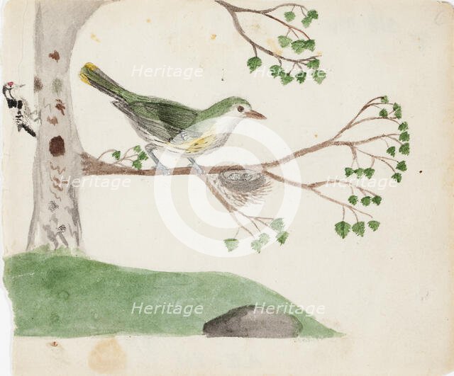 Lesser Spotted Woodpecker (male) and Eurasian Golden Oriole (female), 1830. Creator: Ferdinand von Wright.