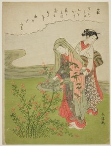 Bush Clover (Hagi), from an untitled series of Flowers, c. 1769. Creator: Suzuki Harunobu.
