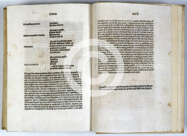 Pages of the 'Constitucions de Catalunya' (Catalonia Constitutions) on parchment, February 20th 1495 Creator: Unknown.
