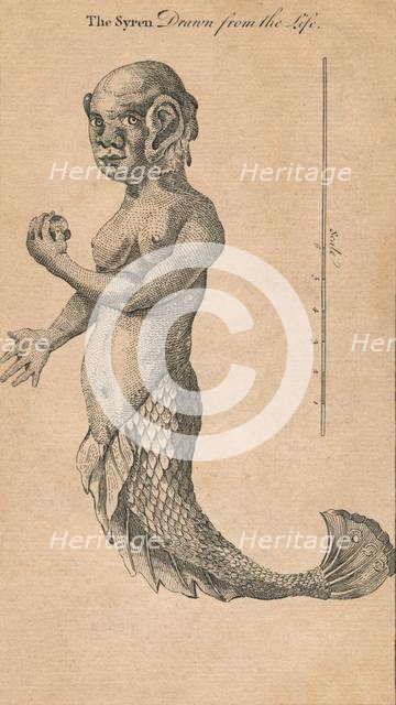 'The Syren Drawn from the Life', 1759? Creator: Benjamin Cole.