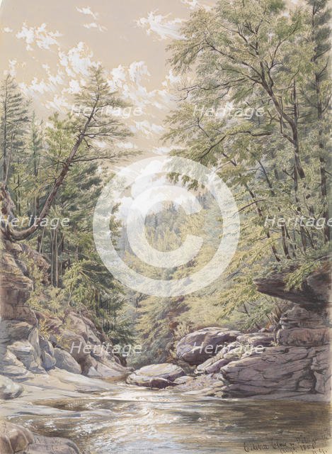 Catskill Clove in Palingsville, 1856. Creator: William Rickarby Miller.