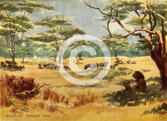 'Studying Tonight's Menu', (1944).  Creator: Robert Baden-Powell.