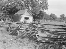Split-log fence, North Central Arkansas along U.S. 62, 1938. Creator: Dorothea Lange.