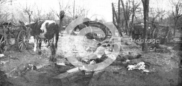 'La Serbie Victorieuse; l'etat de avenue du Bois de Topchidere, Belgrade', 1914. Creator: Unknown.