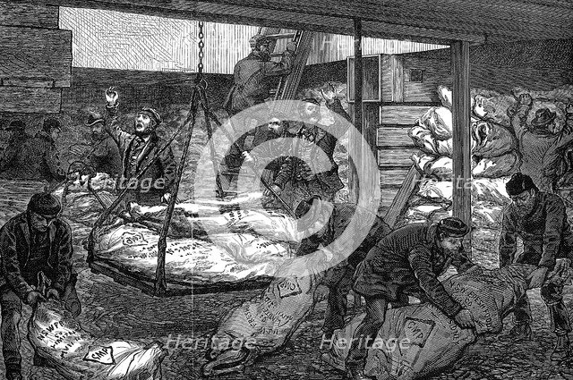 Unloading frozen meat from Australia, South West India Dock, Millwall, London, 1881. Artist: Unknown