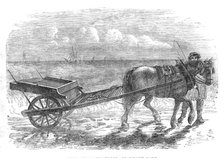 The Yarmouth Troll, or Beach-cart, 1861. Creator: Unknown.