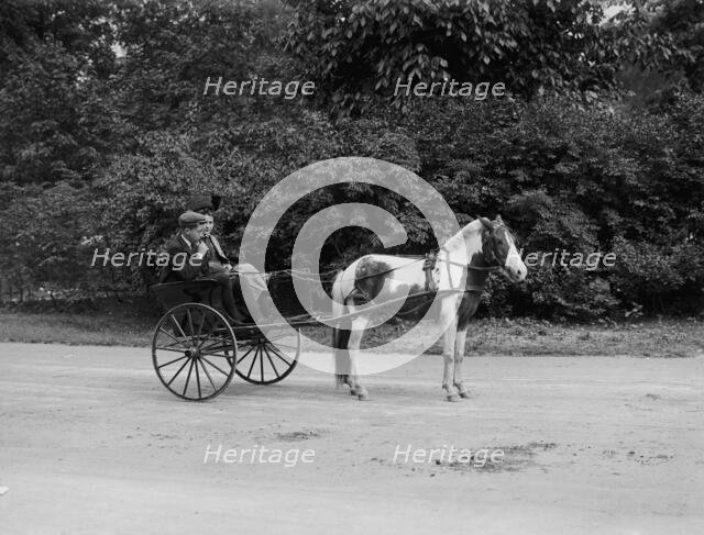 Pony cart, Belle Isle Park, Detroit, Mich., between 1900 and 1908. Creator: Unknown.
