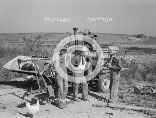 Stephen brothers, Nyssa Heights district, Malheur County, Oregon, 1939. Creator: Dorothea Lange.