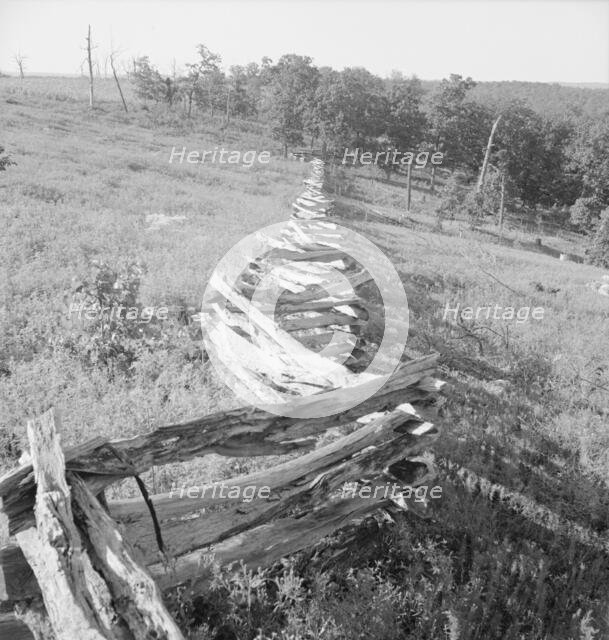 Split-log fence, North central Arkansas, along U.S. 62, 1938. Creator: Dorothea Lange.
