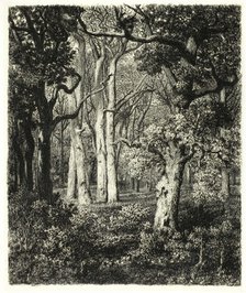 Old Oaks at Bas Bréau, c. 1865. Creator: Adolphe Martial Potemont.