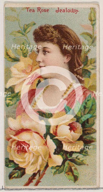 Tea Rose: Jealousy, from the series Floral Beauties and Language of Flowers (N75) for Duke..., 1892. Creator: Donaldson Brothers.