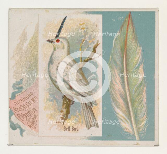 Bell Bird, from the Song Birds of the World series (N42) for Allen & Ginter Cigarettes, 1890. Creator: Allen & Ginter.