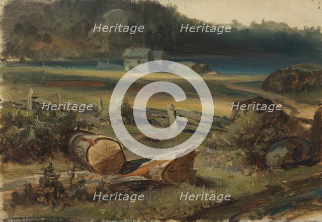 Beach landscape. Creator: Johan Knutson.