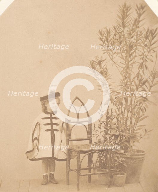 La ?aurier rose, 1860s. Creator: Pierre-Louis Pierson.