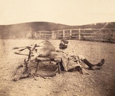 [Peel Ross with Hunting Trophies], ca. 1856-1859. Creator: Horatio Ross.