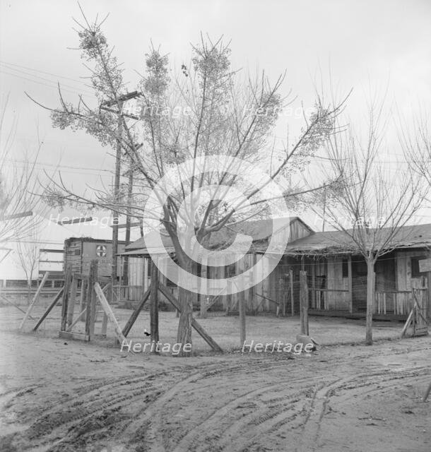 Houses inhabited by Mexican citrus workers, Lindsay, Tulare County, California , 1939. Creator: Dorothea Lange.