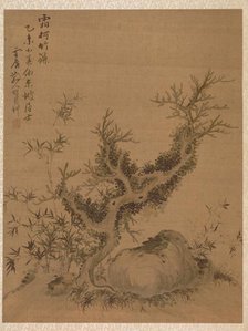 Frosted Branches and Dwarf Bamboo, in the Style of Su Shih, 1775. Creator: Zhai Dakun (Chinese, d. 1804).