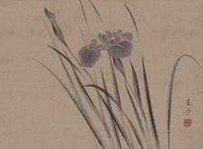 Irises sway in the wind, . Creator: Kansai; Mori (1814-1894).