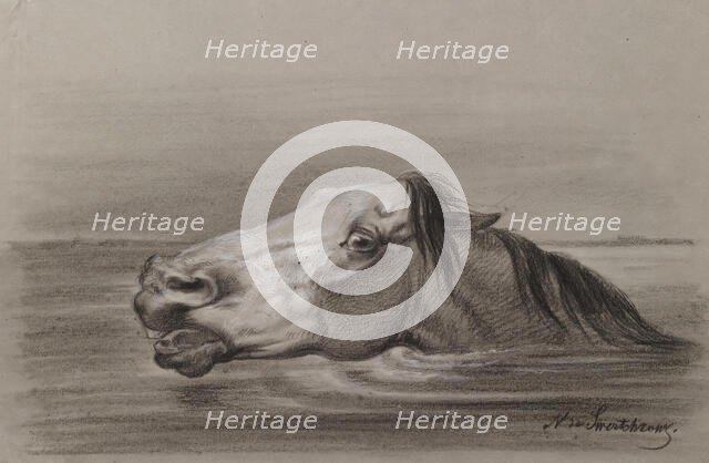 Head of a Swimming Horse, c1865. Creator: Nicolai Egorovich Sverchkov.