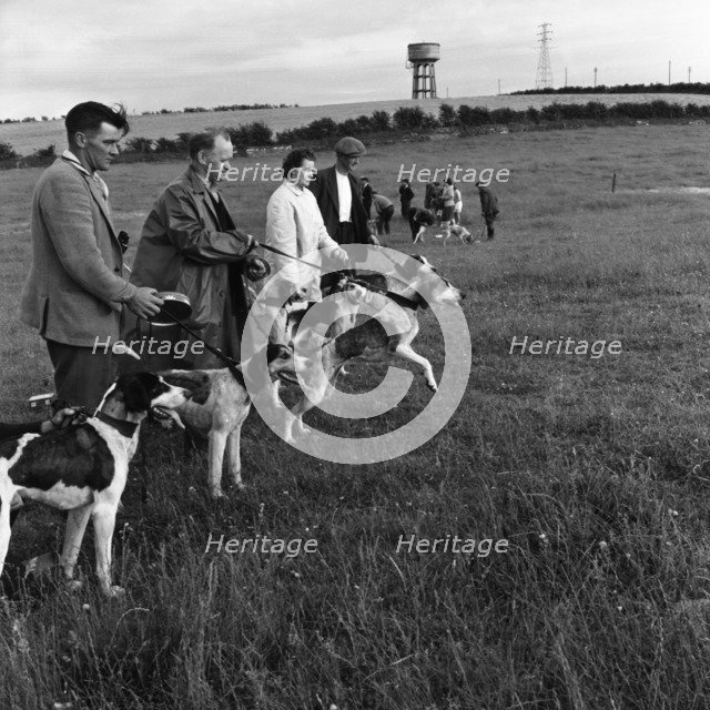 Hound Trailing, one of Cumbria's oldest and most popular sports, Keswick, 2nd July 1962. Artist: Michael Walters
