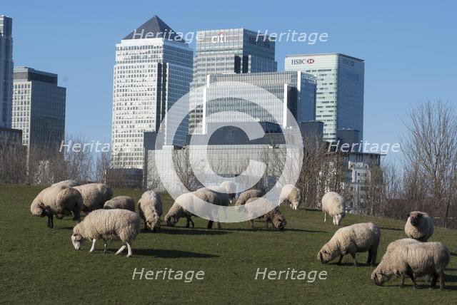 Docklands and Canary Wharf, London, England, UK, 2/3/10. Creator: Ethel Davies.
