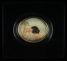 Bisonte con palmeras (Bison with Palm Trees), ca. 1825-1850. Creator: Goyena family.