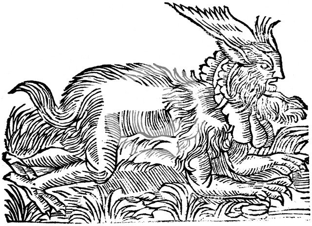 Lycanthropy: forest demon captured in Germany in 1531 (1669). Artist: Unknown