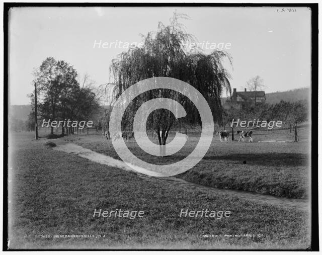 Near Bernardsville, N.J., between 1890 and 1901. Creator: Unknown.
