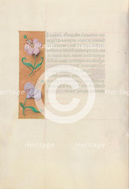 Hours of Queen Isabella the Catholic, Queen of Spain: Fol. 49v, c. 1500. Creator: Master of the First Prayerbook of Maximillian (Flemish, c. 1444-1519); Associates, and.