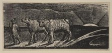 Unyok'd Heifers, Loitering Homeward, from Thornton's Pastorals of Virgil, 1821. Creator: William Blake.