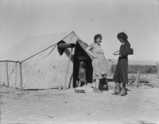 Grower's camp for migrant labor on the edge of the pea fields, near Calipatria, Imperial Valley, CA, Creator: Dorothea Lange.