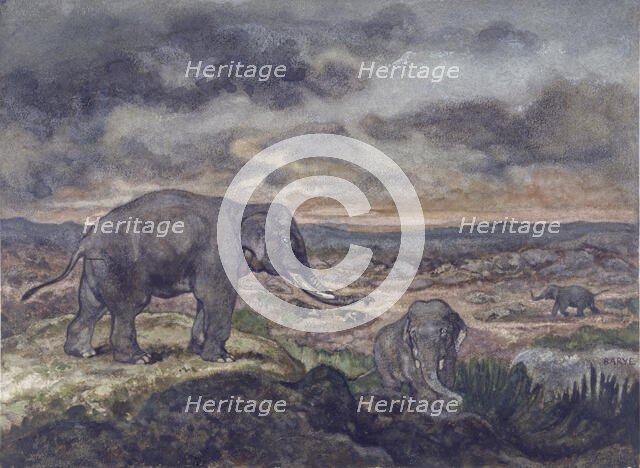 Elephants, c1867. Creator: Antoine-Louis Barye.