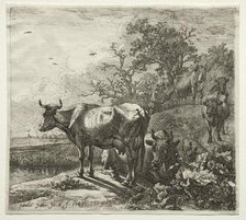 The Cowherd. Creator: Paulus Potter (Dutch, 1625-1654).