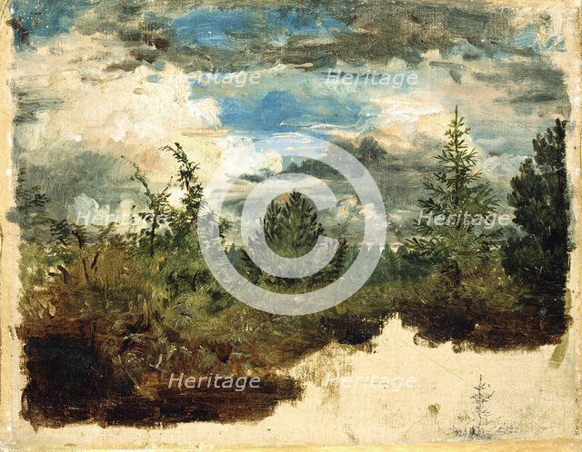 A Wooded Hillside. Study. Creator: Kilian Christoffer Zoll.