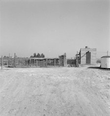Country slaughterhouse for use of farmers, one mile north of Nyssa, Oregon, 1939. Creator: Dorothea Lange.
