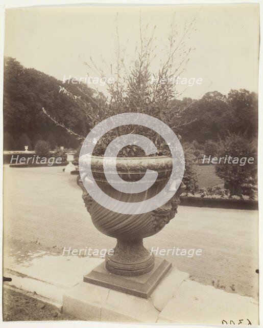 Versailles, Vase par Ballin, 1902. Creator: Eugene Atget.