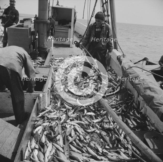 On board the fishing boat Alden, out of Gloucester, Massachusetts, 1943. Creator: Gordon Parks.