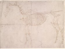 Measured working drawing for 'The First Anatomical Table of the Skeleton of the Horse', 1756. Creator: George Stubbs.