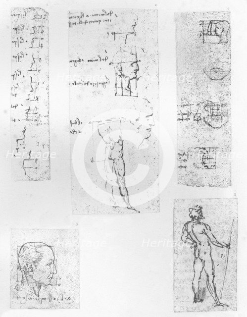 Five drawings illustrating the theory of the proportions of the human figure, c1472-c1519 (1883). Artist: Leonardo da Vinci.