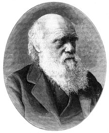 Charles Darwin, 19th century English naturalist, (1900).Artist: Elliott & Fry