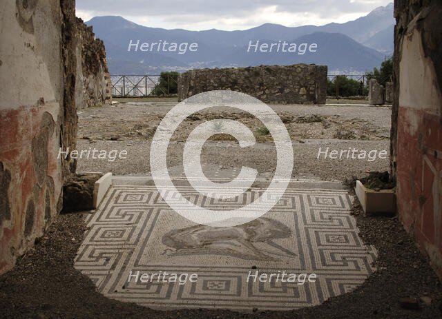Mosaic, Pompeii, Italy, 2009. Creator: LTL.