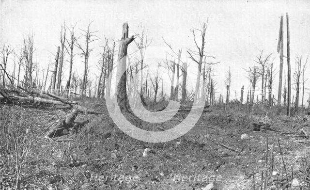 ''A Travers la Fournaise; En patrouille dans un bois mutile de la region de Vaux', 1916 (1924) Creator: Unknown.