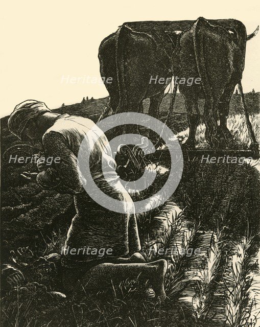 'The Hidden Treasure', 1864, (1928).  Creator: Dalziel Brothers.