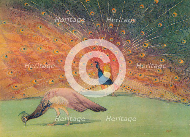 'Sic Transit Gloria Mundi', c1920, (1928). Artist: William Giles.