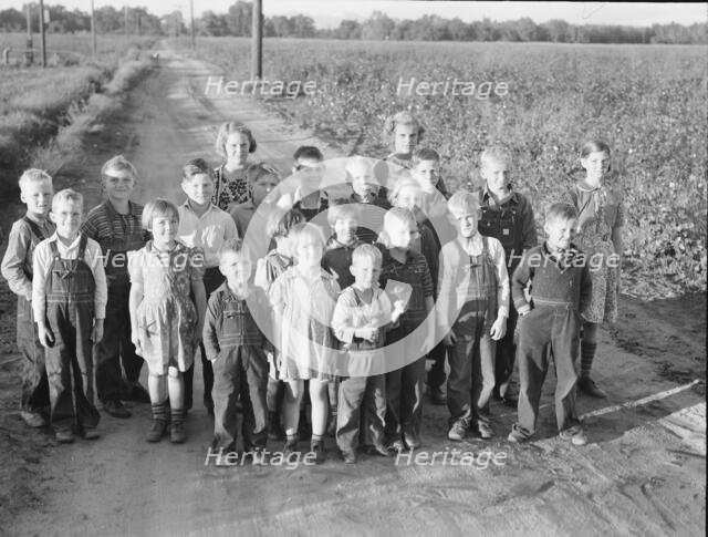 Ten families established by the FSA on the Mineral King Cooperative Farm, Tulare County, CA, 1938. Creator: Dorothea Lange.