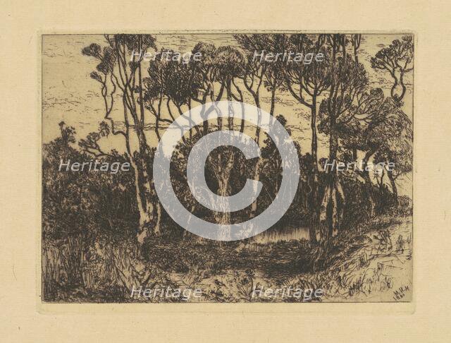 Solitude, 1880. Creator: Mary Nimmo Moran.