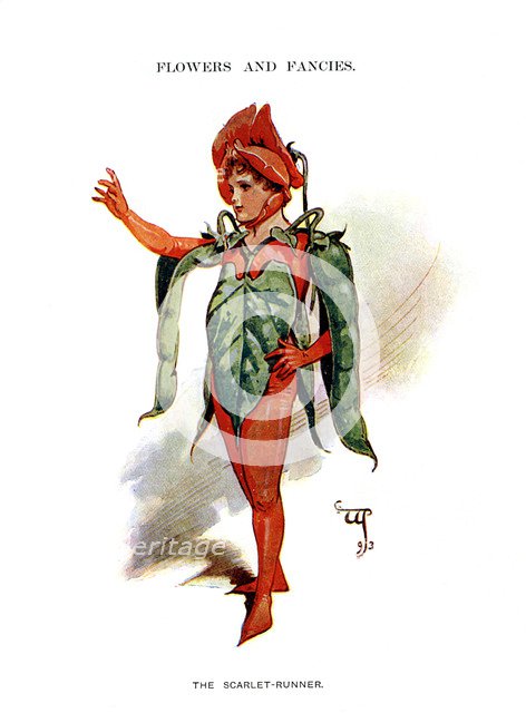 'The Scarlet Runner', 1899. Artist: Unknown