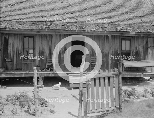 Home of white tenant farmer family, Newport, Oklahoma, 1937. Creator: Dorothea Lange.